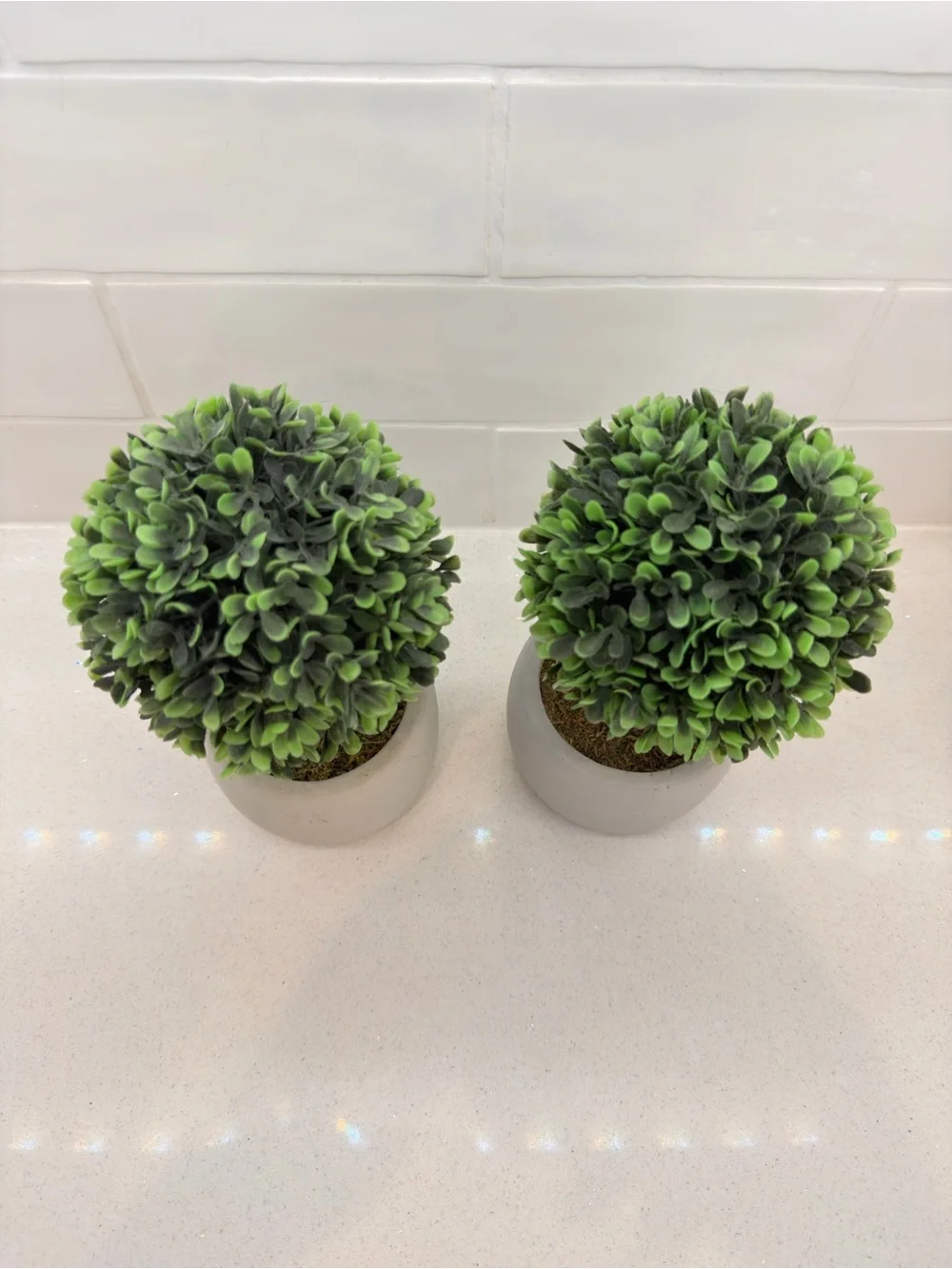 Artificial Boxwood Topiary in White Planter - Set of 2